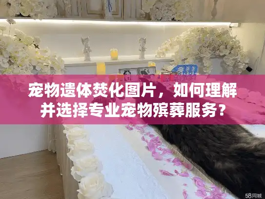 宠物遗体焚化图片,如何理解并选择专业宠物殡葬服务? 宠物遗体焚化图片,如何理解并选择专业宠物殡葬服务?
