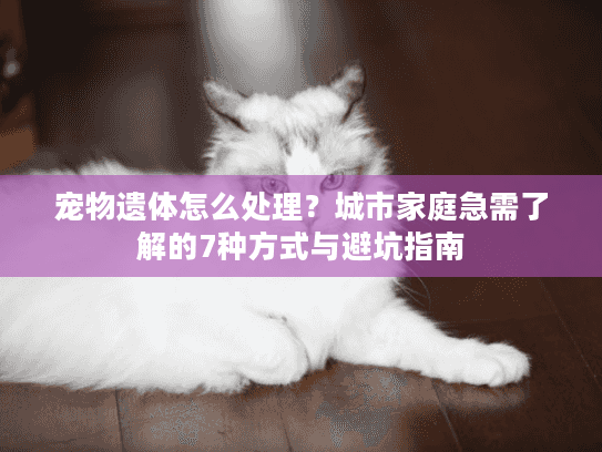 宠物遗体怎么处理？城市家庭急需了解的7种方式与避坑指南