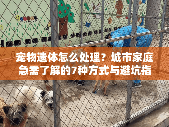 宠物遗体怎么处理？城市家庭急需了解的7种方式与避坑指南