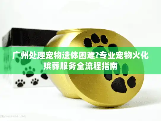 广州处理宠物遗体困难?专业宠物火化殡葬服务全流程指南