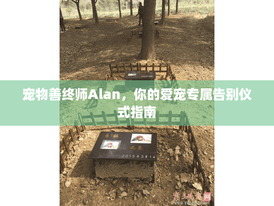 宠物善终师Alan，你的爱宠专属告别仪式指南