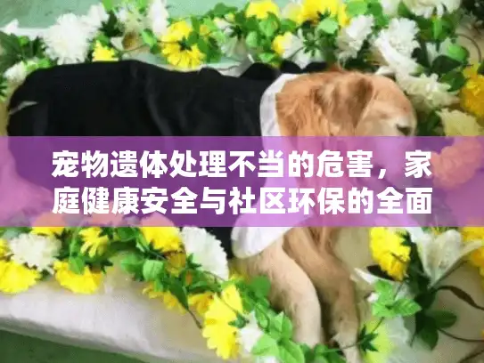 宠物遗体处理不当的危害，家庭健康安全与社区环保的全面剖析