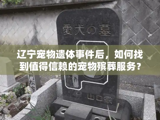 辽宁宠物遗体事件后，如何找到值得信赖的宠物殡葬服务？