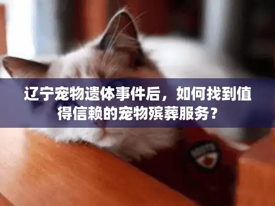 辽宁宠物遗体事件后，如何找到值得信赖的宠物殡葬服务？