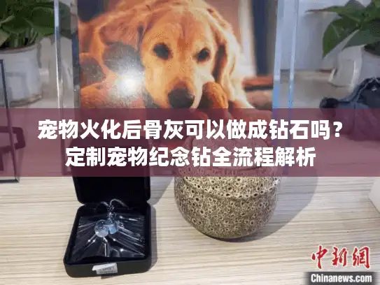 宠物火化后骨灰可以做成钻石吗？定制宠物纪念钻全流程解析