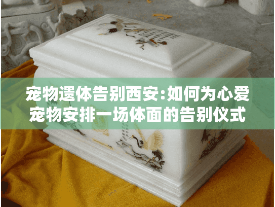 宠物遗体告别西安:如何为心爱宠物安排一场体面的告别仪式?