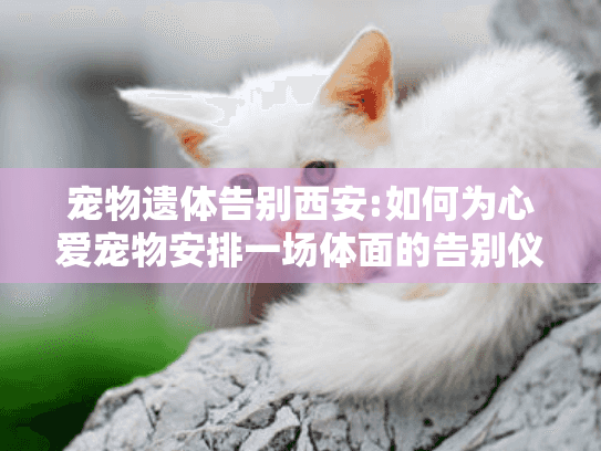 宠物遗体告别西安:如何为心爱宠物安排一场体面的告别仪式?