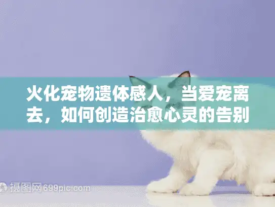 火化宠物遗体感人,当爱宠离去,如何创造治愈心灵的告别时刻? 火化宠物遗体感人,当爱宠离去,如何创造治愈心灵的告别时刻?