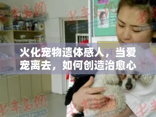 火化宠物遗体感人,当爱宠离去,如何创造治愈心灵的告别时刻? 火化宠物遗体感人,当爱宠离去,如何创造治愈心灵的告别时刻?