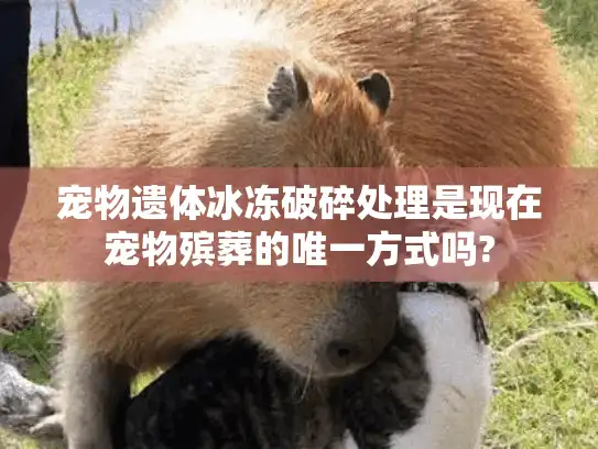 宠物遗体冰冻破碎处理是现在宠物殡葬的唯一方式吗?