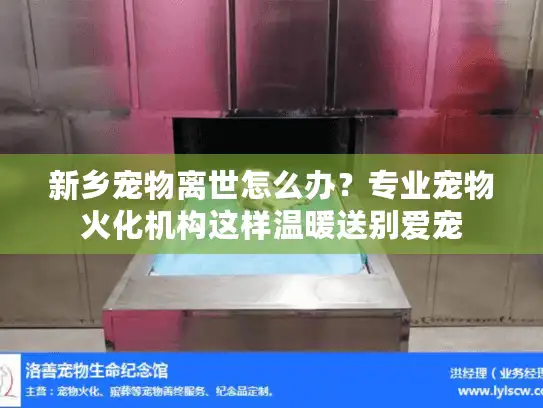 新乡宠物离世怎么办？专业宠物火化机构这样温暖送别爱宠