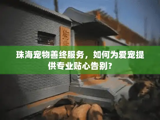 珠海宠物善终服务,如何为爱宠提供专业贴心告别? 珠海宠物善终服务,如何为爱宠提供专业贴心告别?