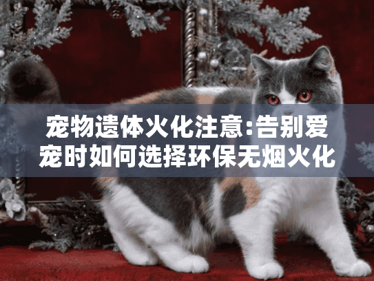 宠物遗体火化注意:告别爱宠时如何选择环保无烟火化流程?