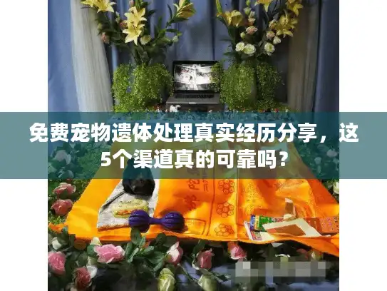 免费宠物遗体处理真实经历分享，这5个渠道真的可靠吗？