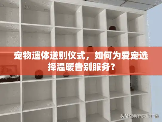 宠物遗体送别仪式,如何为爱宠选择温暖告别服务? 宠物遗体送别仪式,如何为爱宠选择温暖告别服务?