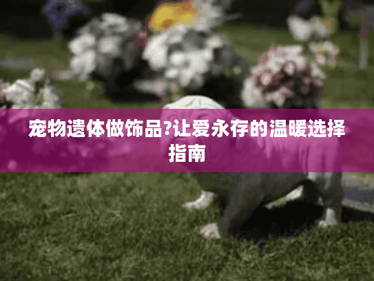宠物遗体做饰品?让爱永存的温暖选择指南