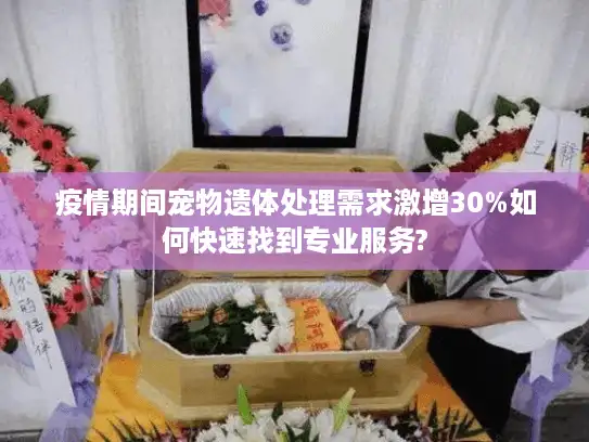 疫情期间宠物遗体处理需求激增30%如何快速找到专业服务? 疫情期间宠物遗体处理需求激增30%如何快速找到专业服务?