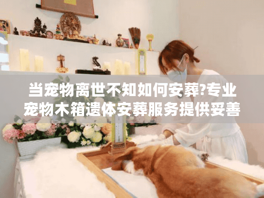 当宠物离世不知如何安葬?专业宠物木箱遗体安葬服务提供妥善解决
