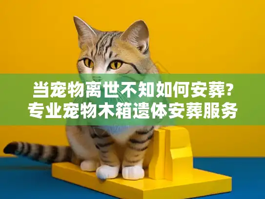 当宠物离世不知如何安葬?专业宠物木箱遗体安葬服务提供妥善解决