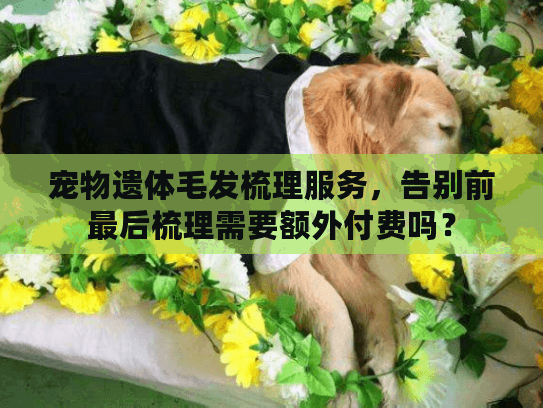 宠物遗体毛发梳理服务,告别前最后梳理需要额外付费吗? 宠物遗体毛发梳理服务,告别前最后梳理需要额外付费吗?