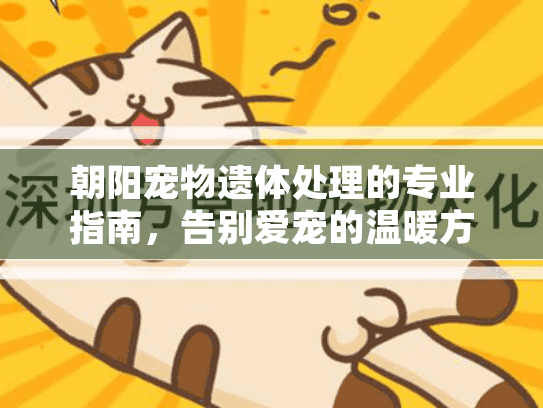 朝阳宠物遗体处理的专业指南,告别爱宠的温暖方式 朝阳宠物遗体处理的专业指南,告别爱宠的温暖方式