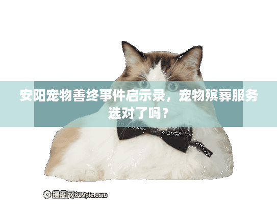安阳宠物善终事件启示录，宠物殡葬服务选对了吗？