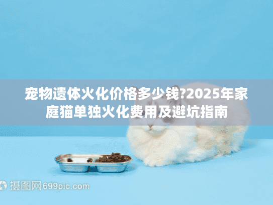 宠物遗体火化价格多少钱?2025年家庭猫单独火化费用及避坑指南