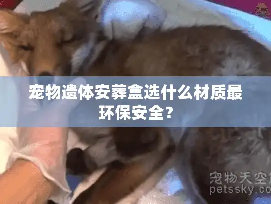 宠物遗体安葬盒选什么材质最环保安全？