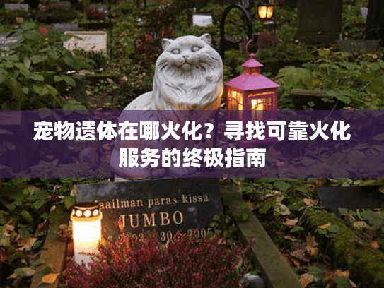 宠物遗体在哪火化?寻找可靠火化服务的终极指南 宠物遗体在哪火化?寻找可靠火化服务的终极指南