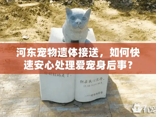 河东宠物遗体接送，如何快速安心处理爱宠身后事？