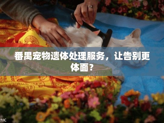 番禺宠物遗体处理服务，让告别更体面？