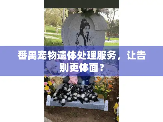 番禺宠物遗体处理服务，让告别更体面？