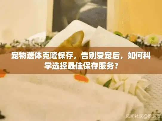 宠物遗体克隆保存，告别爱宠后，如何科学选择最佳保存服务？