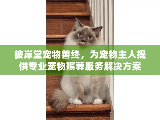 彼岸堂宠物善终，为宠物主人提供专业宠物殡葬服务解决方案