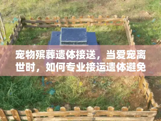 宠物殡葬遗体接送，当爱宠离世时，如何专业接运遗体避免情感创伤？
