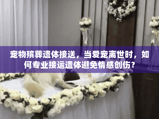 宠物殡葬遗体接送，当爱宠离世时，如何专业接运遗体避免情感创伤？