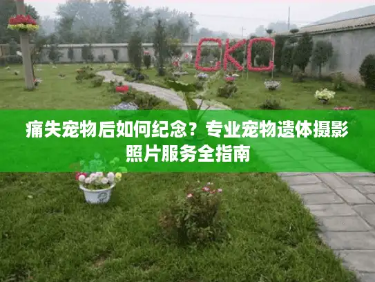痛失宠物后如何纪念？专业宠物遗体摄影照片服务全指南