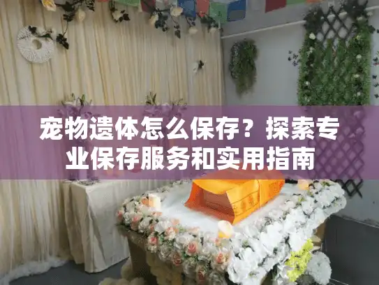 宠物遗体怎么保存？探索专业保存服务和实用指南