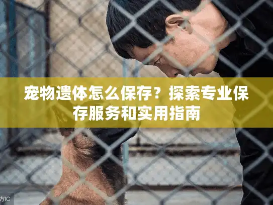 宠物遗体怎么保存？探索专业保存服务和实用指南