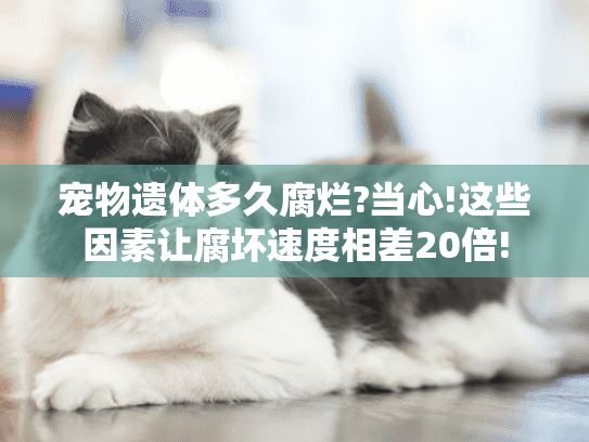 宠物遗体多久腐烂?当心!这些因素让腐坏速度相差20倍! 宠物遗体多久腐烂?当心!这些因素让腐坏速度相差20倍!
