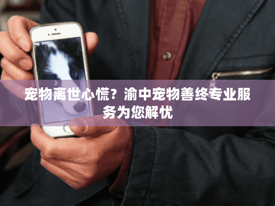 宠物离世心慌？渝中宠物善终专业服务为您解忧