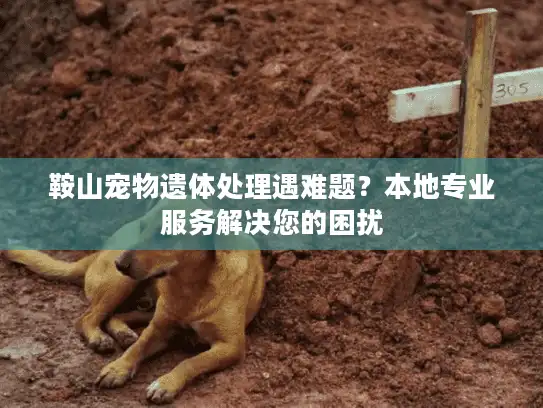 鞍山宠物遗体处理遇难题？本地专业服务解决您的困扰