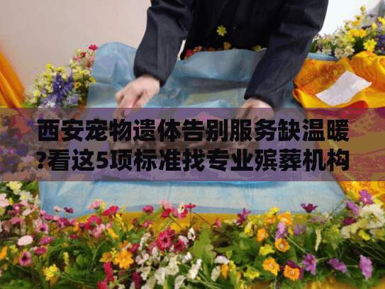 西安宠物遗体告别服务缺温暖?看这5项标准找专业殡葬机构