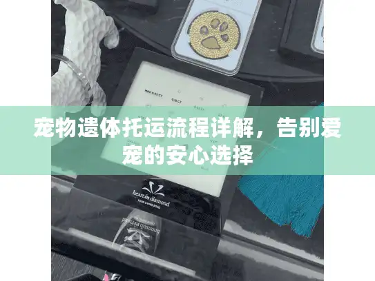 宠物遗体托运流程详解，告别爱宠的安心选择