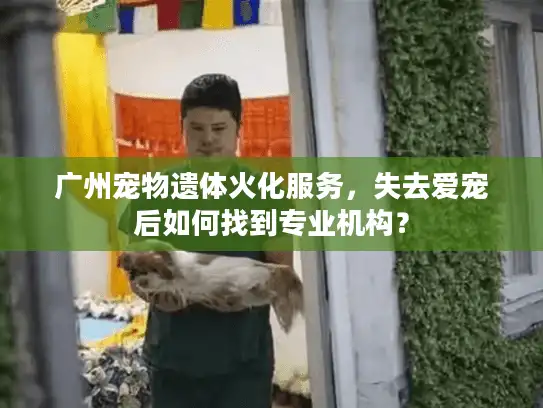 广州宠物遗体火化服务，失去爱宠后如何找到专业机构？