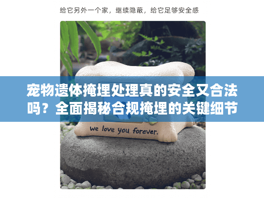 宠物遗体掩埋处理真的安全又合法吗？全面揭秘合规掩埋的关键细节