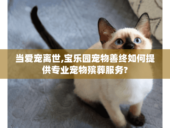 当爱宠离世,宝乐园宠物善终如何提供专业宠物殡葬服务?