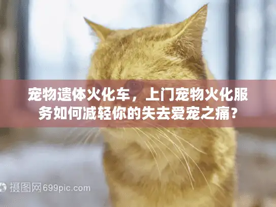 宠物遗体火化车，上门宠物火化服务如何减轻你的失去爱宠之痛？