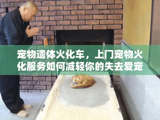 宠物遗体火化车，上门宠物火化服务如何减轻你的失去爱宠之痛？
