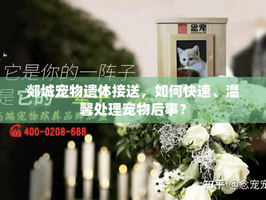郯城宠物遗体接送，如何快速、温馨处理宠物后事？